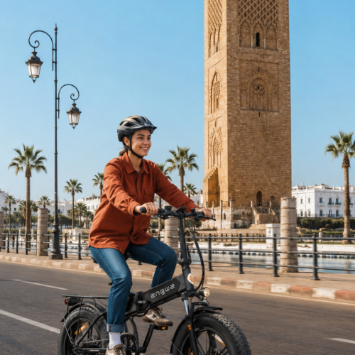 Heritage E-Bike Ride